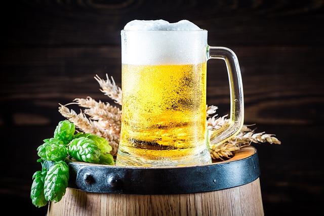 vaříme pivo